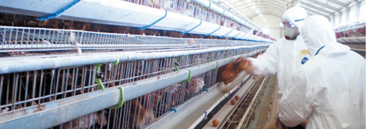 Vi har Moldex filtrerende ansigtsmasker tilbage p� lager til levering til dig om 1-2 dage!