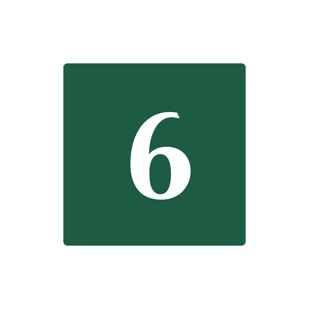 Skilt Naturstyrelsen 6 Lakeret Aluminium 10 x 10 cm NST06