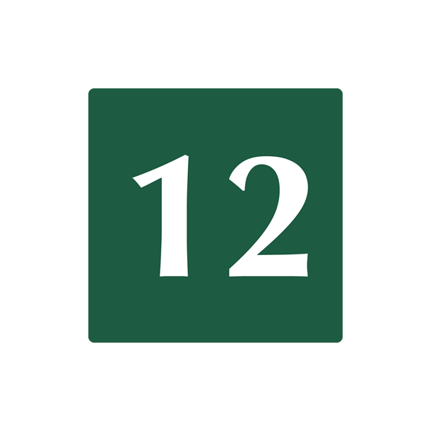 Skilt Naturstyrelsen 12 Lakeret Aluminium 10 x 10 cm NST12