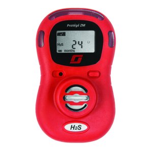 Teledyne Protege ZM Monitor H2S gasdetektor