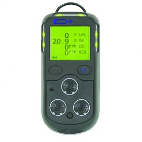 Teledyne PS200 4-Gasdetektor med Pumpe Transportabel