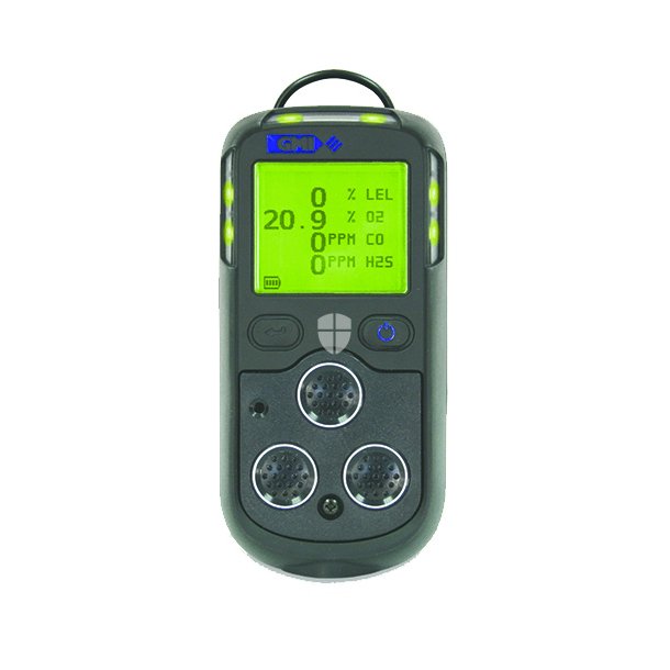 Teledyne PS200 Gasdetektor LeL/O2 med Pumpe Transportabel