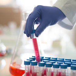 Showa 7540 Nitrilhandske 100% Nitril Pudderfri pk a 100 stk