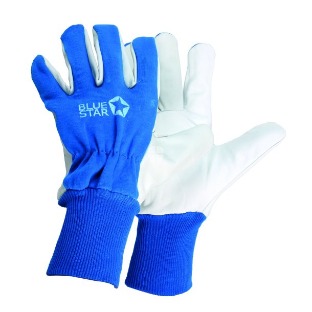 BlueStar Special Tech Handske med Rib Gedeskind